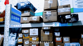赵4.gif