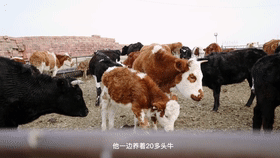赵3.gif