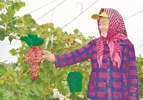 好1.png