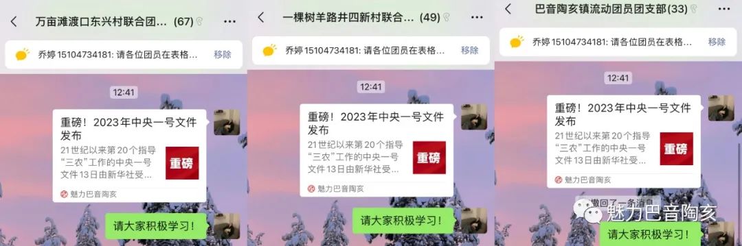 团1.jpg